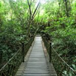 Sanya Classic Private Day Tour: Daxiaodongtian & Nanshan Temple &Tianyahaijiao