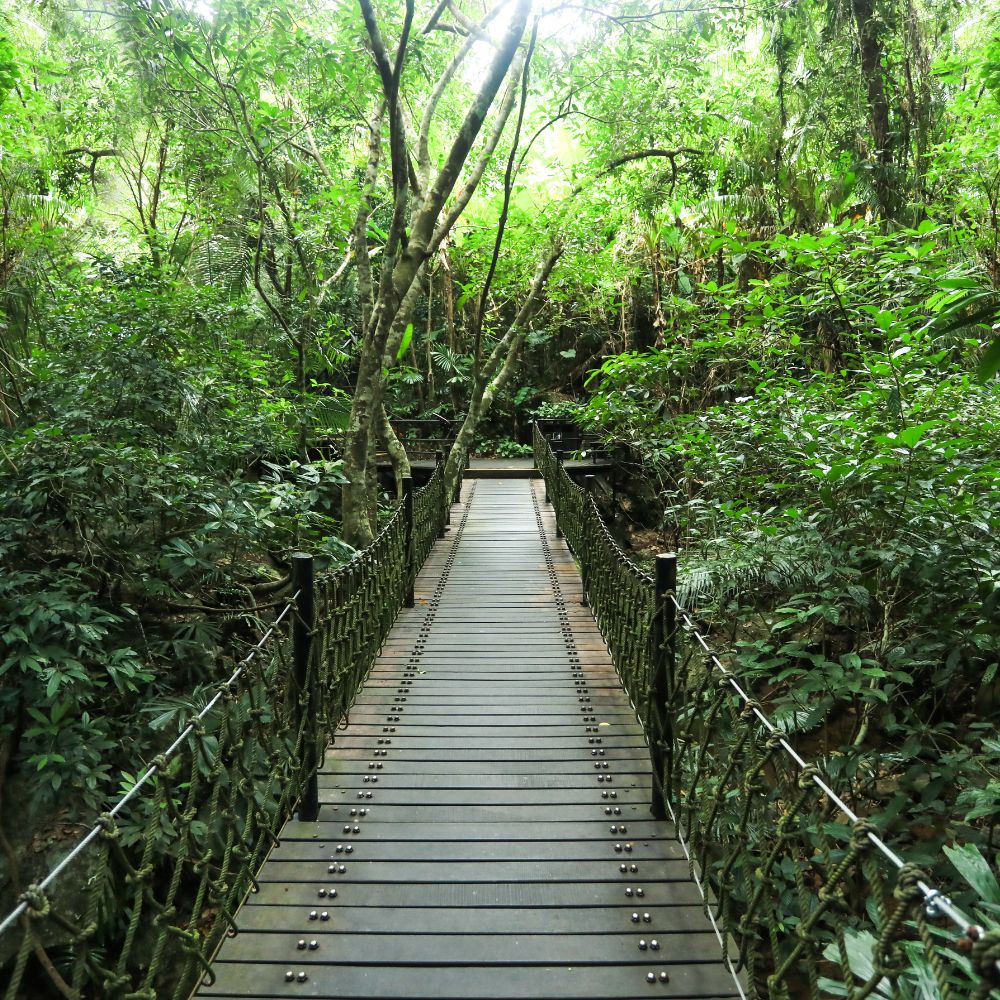 Sanya Classic Private Day Tour: Daxiaodongtian ...