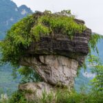 3-Day Chengdu  Classical Private Tour:Chengdu Panda Base&Dujiangyan Dam & Mt.Qingchengshan && Qingyang Taoist Palace & Temple of Marquis