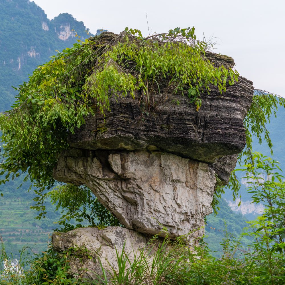 3-Day Chengdu  Classical Private Tour:Chengdu P...