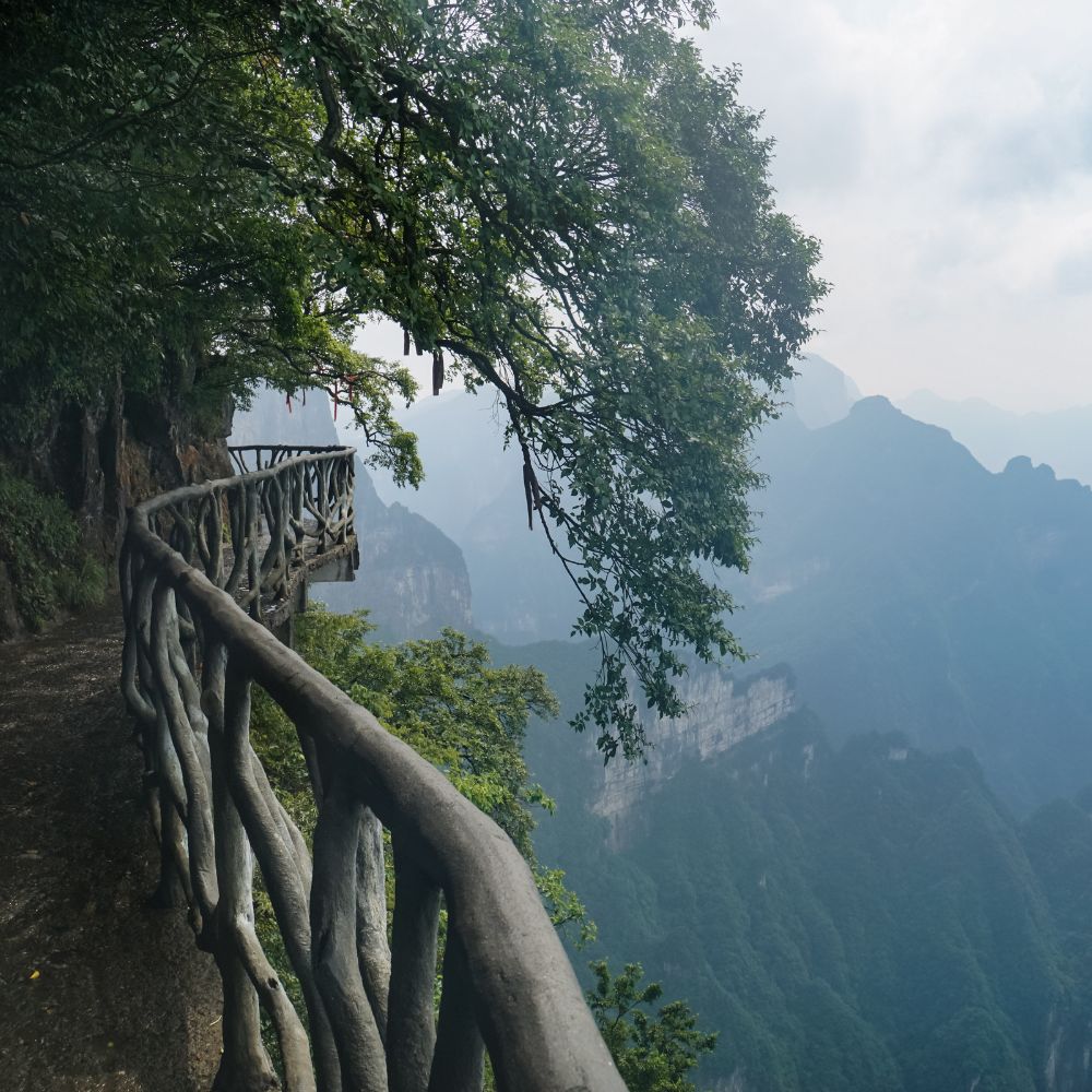 One-Day Private Tour for Tianmen Mountain (Zhan...