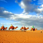 China Silk Road Impression 9 Days Package Tour