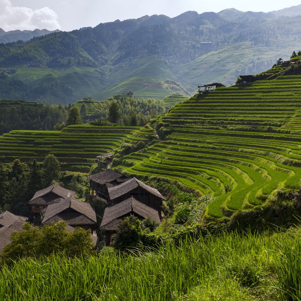 Guilin Longji Rice Terrace Private Day Tour: Dr...