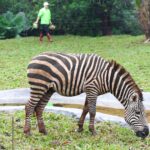 2-Day Sanya → Haikou Luxury Private Tour with Hot Spring & Cultural Experiences