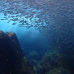 Sanya Dreamy Shuangfan Rock Diving Private One-Day Tour